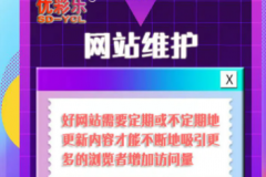 山东优彩乐网络·980元高端网站建设/软件开发/商城/小程序